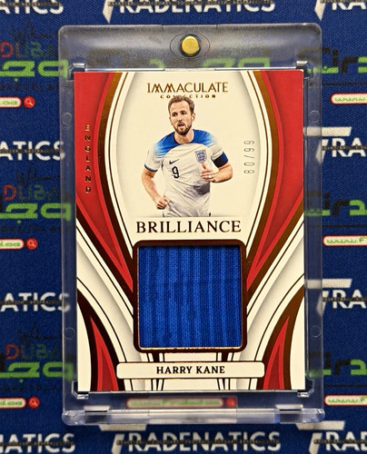 Panini immacolata 2023 - immacolata, 2023-24