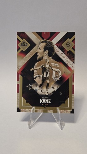2025 topps gold ucc harry - gold,