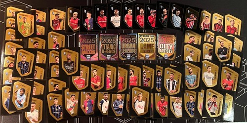 Panini fifa 365 2025 sticker - fifa,