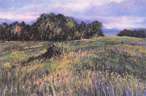Cartolina epoca paesaggi - (3),