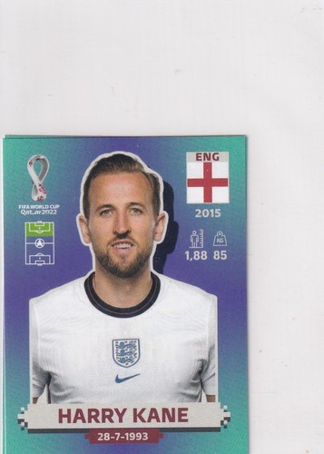Panini qatar world - world, cup
